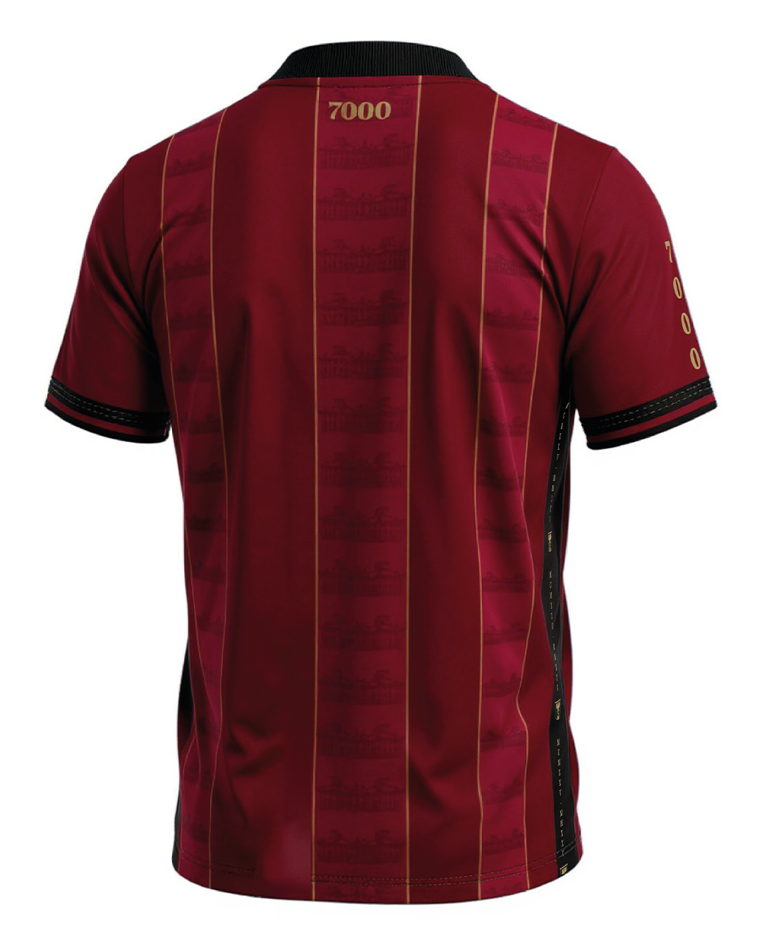 100 Jahre Landeshauptstadt Eisenstadt Jubiläumstrikot