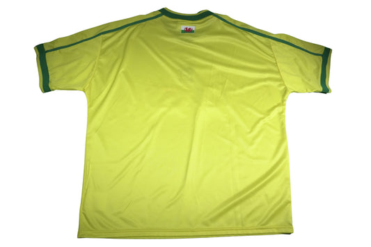 Cardiff City 2002–2003 Heim Trikot