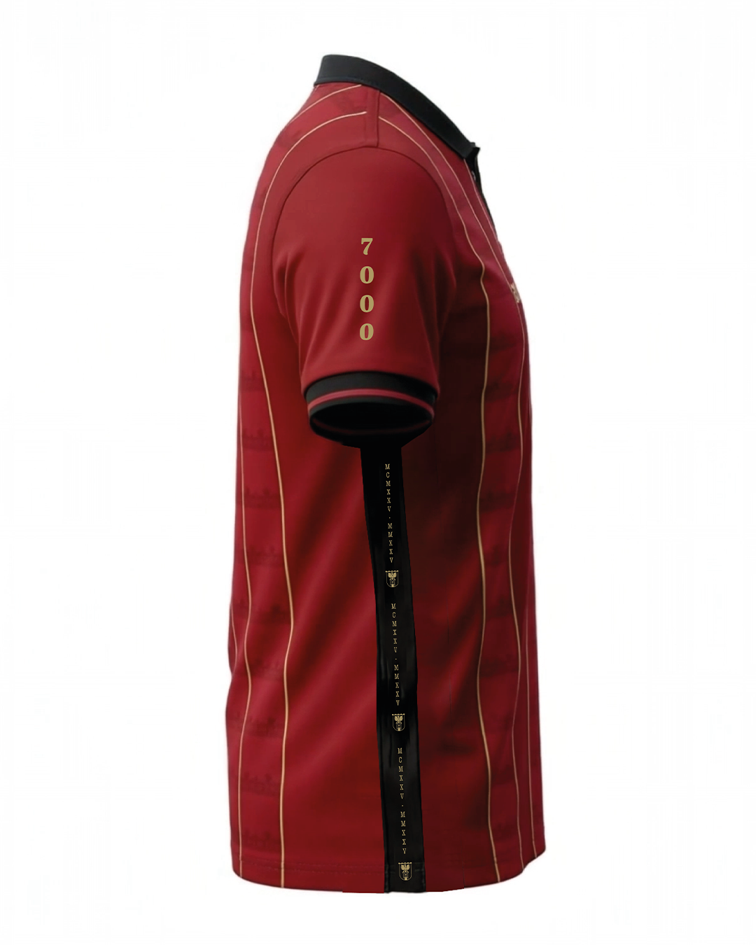 100 Jahre Landeshauptstadt Eisenstadt Jubiläumstrikot